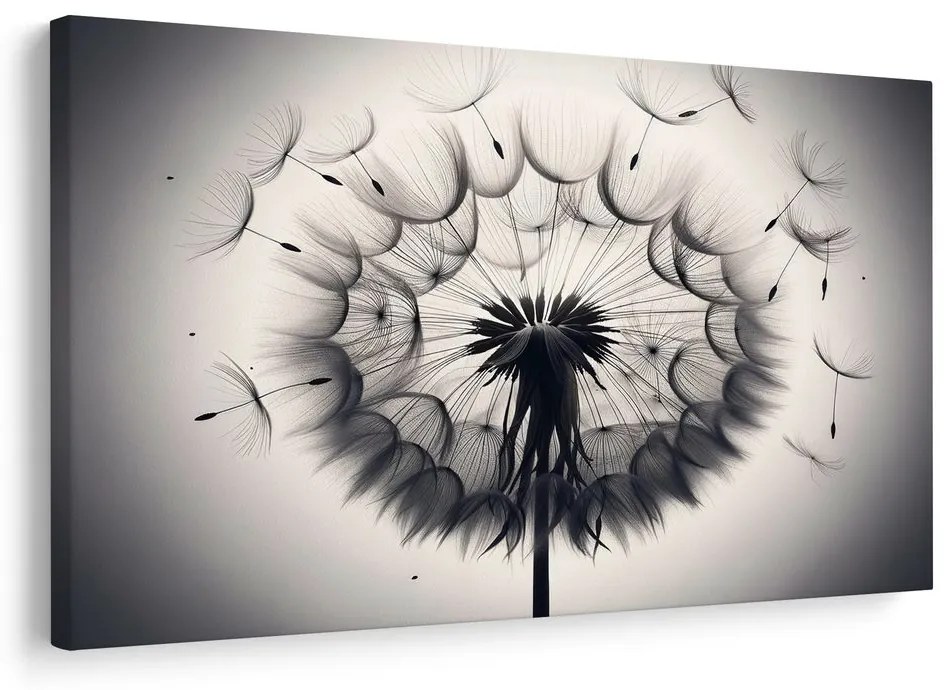 Obraz letiace semienka púpavy Obraz letiace semienka púpavy