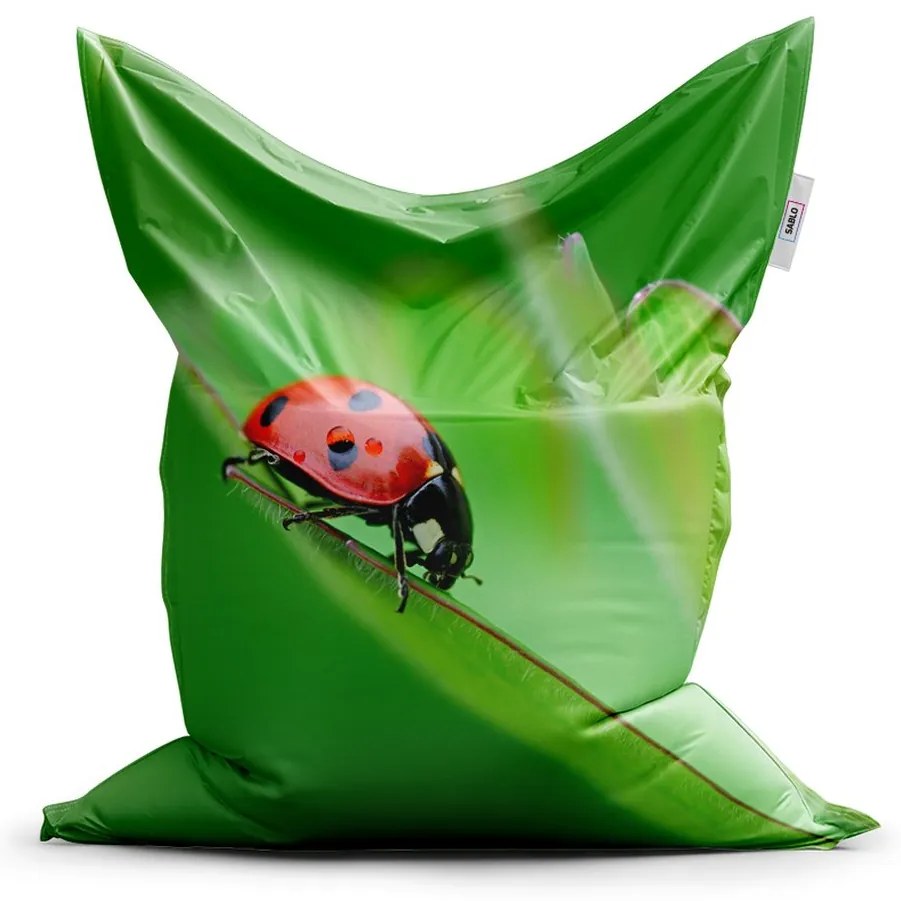 Sedací vak Classic lienka na liste - detský, zelená