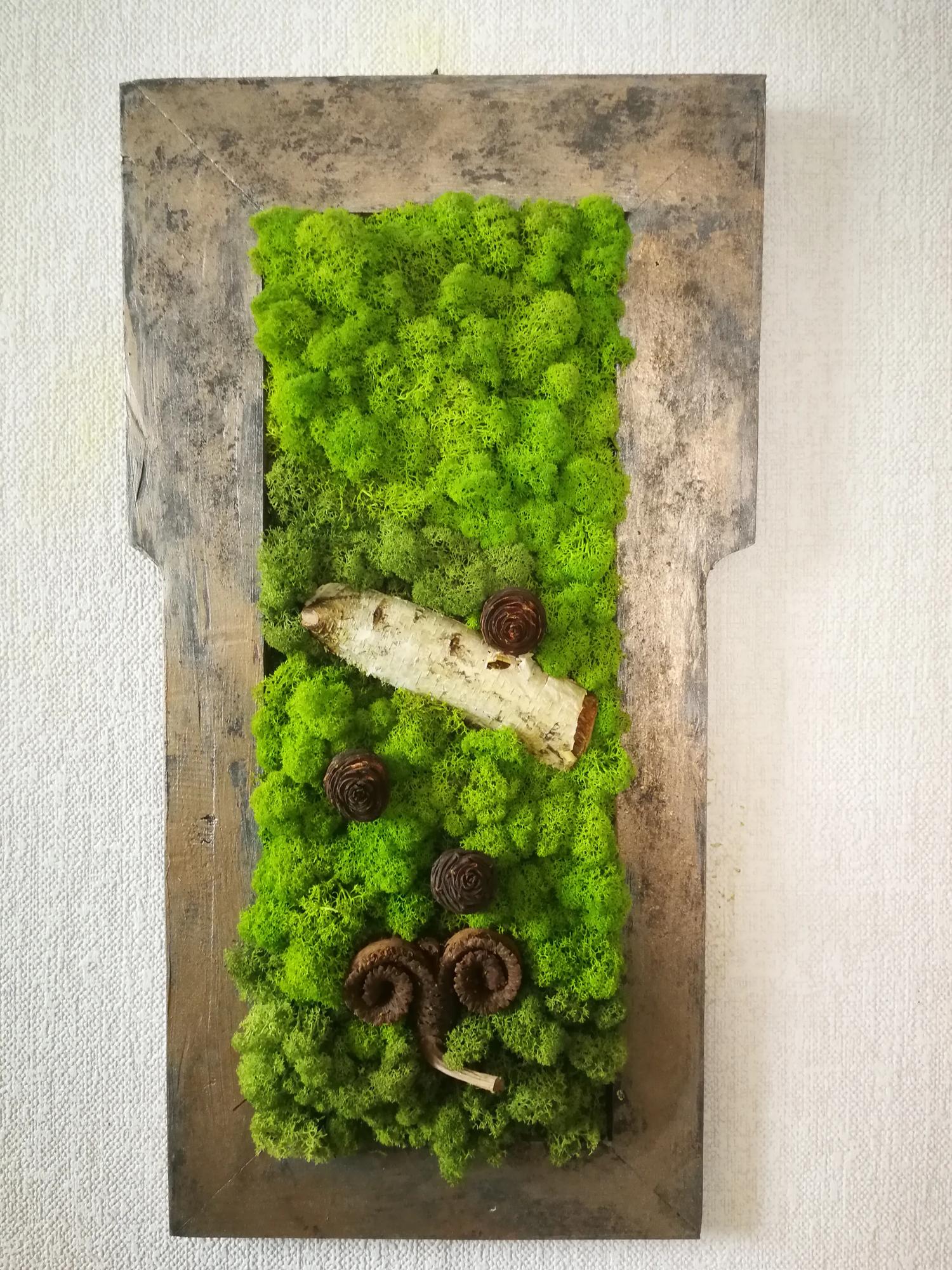 Machový obraz s atypickým tvarom rámu 70cm x 37cm Machový obraz s atypickým tvarom rámu 70cm x 37cm