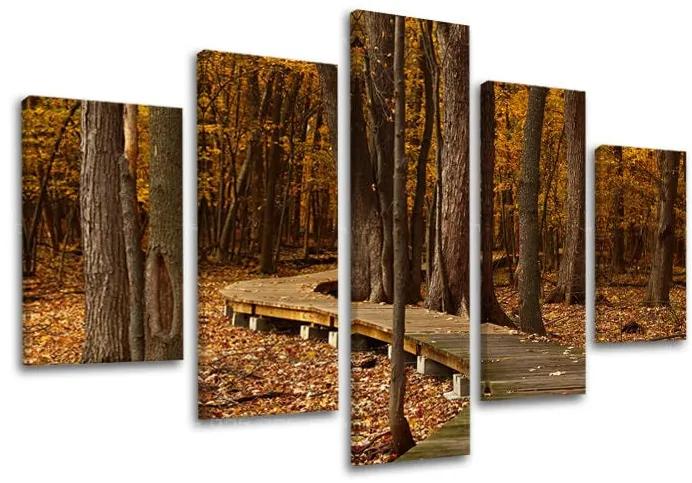 Obraz na stenu STROMY | rôzne rozmery