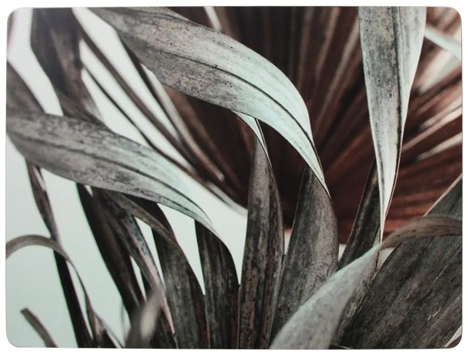 4 ks pevné korkové prestieranie Palma - 30 * 40 * 0,4 cm