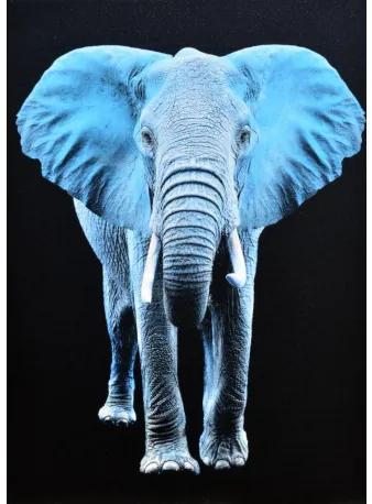 Obraz tlačený na plátne 50x70 PRC832