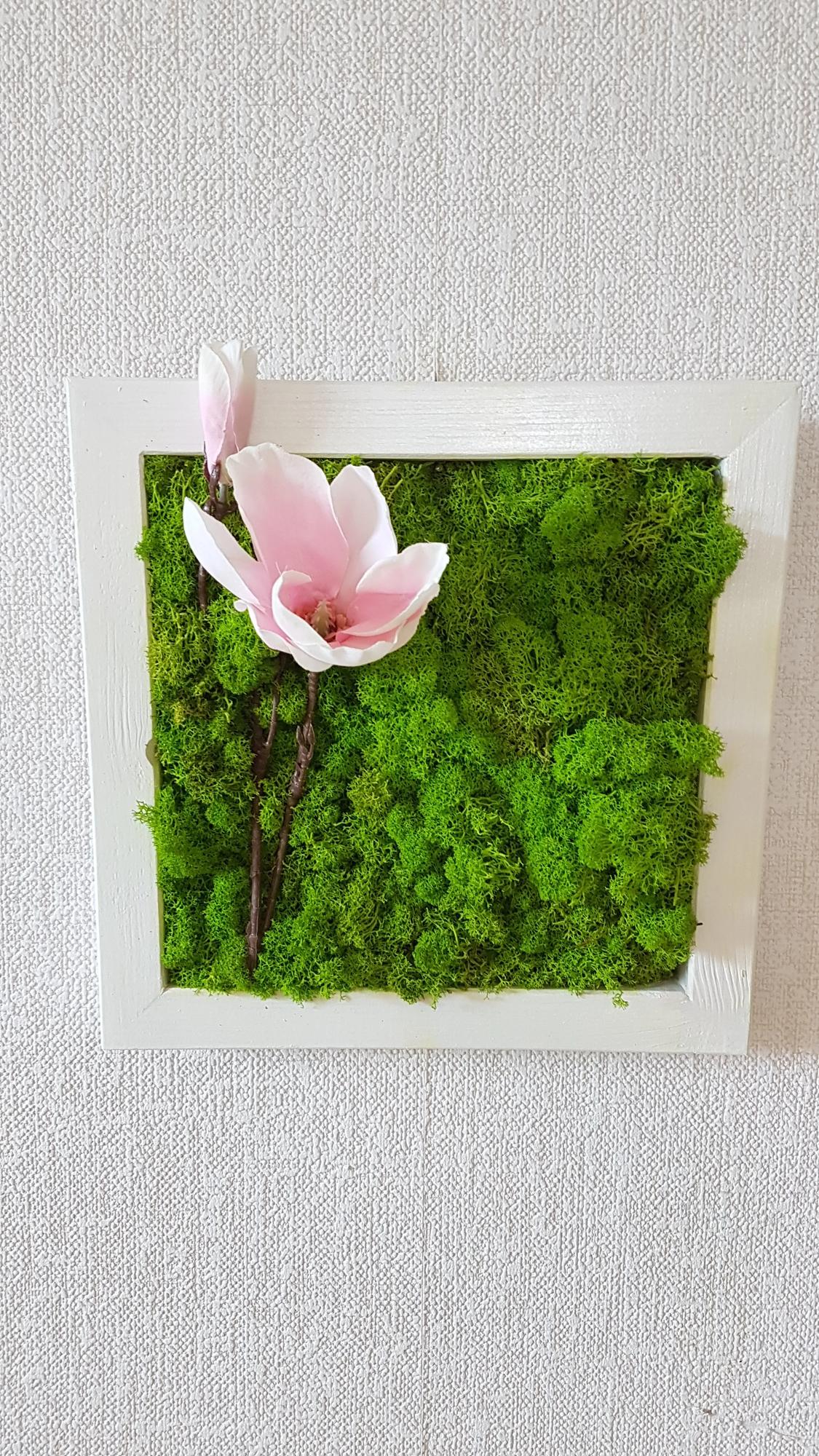 Machový obraz v bielom ráme 33cm x 33cm