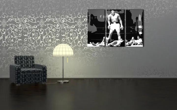 Ručne maľovaný POP Art obraz Muhamad Ali | rôzne rozmery