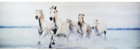 Obraz tlačený na plátne 50x150 PRC1136