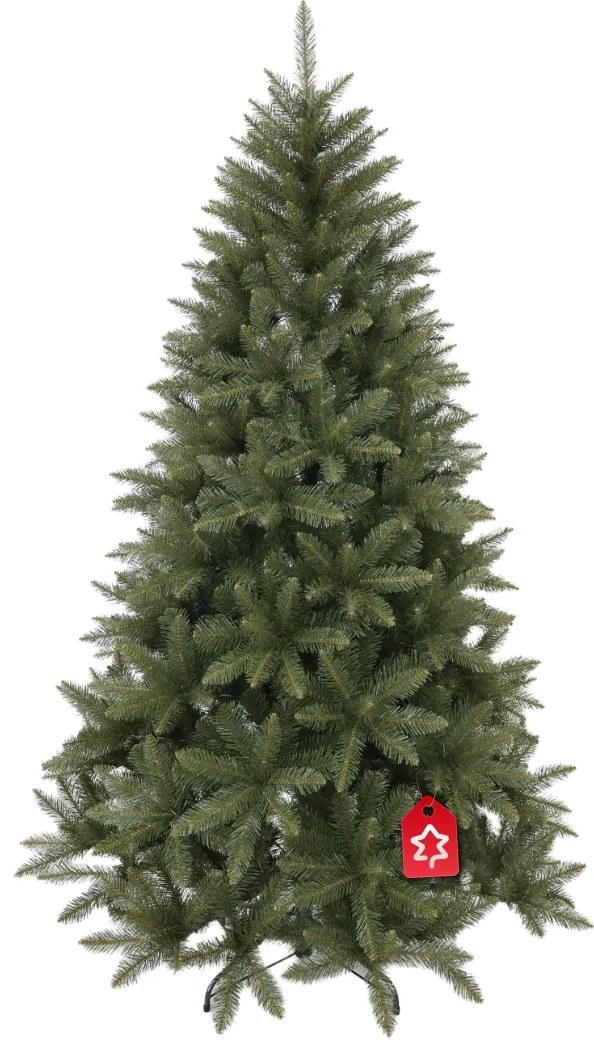 Smrek Kavkazský 210 cm