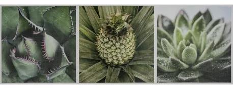 Obraz tlačený na plátne 50x150 PRC1027