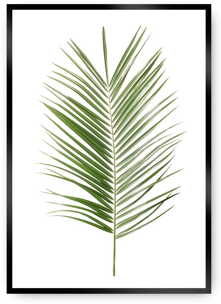 Plagát Palm Leaf Green