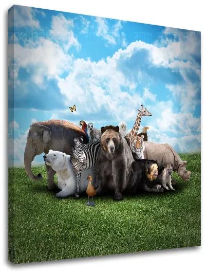 Obraz na stenu ZVIERATÁ_047-12 | rôzne rozmery