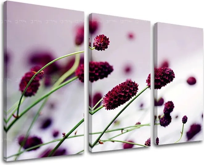 Obraz na stenu 3 dielny KVETY KV007E30 - 120x80 cm