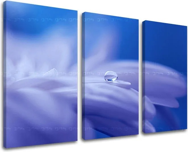 Obraz na stenu 3 dielny KVETY KV087E30 - 120x80 cm