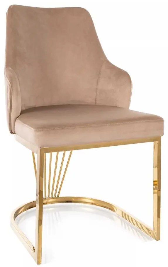 Jedálenská stolička Olten, béžová / zlatá