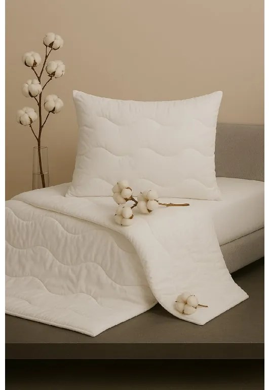 Letný set vankúša a paplóna Medic – 100% bavlna, antialergický Veľkosť: 140x200/70x90 cm