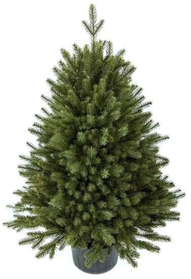 Vianočný stromček FULL 3D Smrek Alpský 100 cm v kvetináči