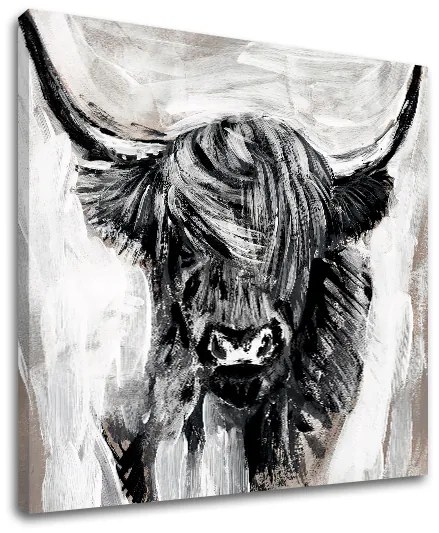 Obraz na plátne BÝK 001 60x60 cm